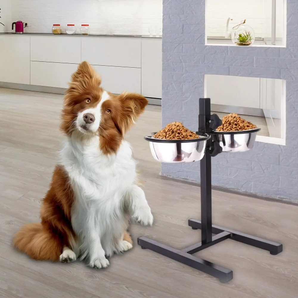 Pet Water Bowl Stainless Steel - Storage Tips For Food review and price