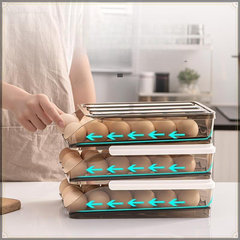 Rolling Egg Storage Box PET St - Egg Storage Holder review and price