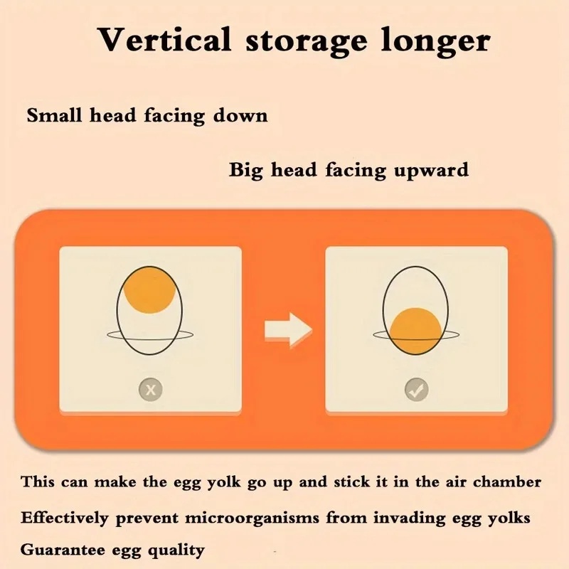 1 Kitchen Egg Storage Box 2 La - Egg Storage Holder review and price
